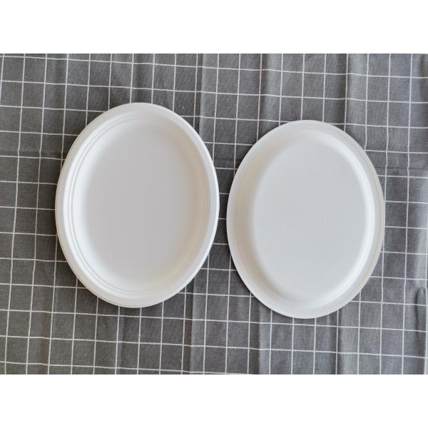 12 Inch  Oval Dinner Biodegradable Sugarcane Bagasse Plates