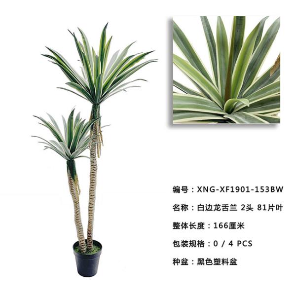 Árvore artificial referente à cultura norte-americana 100CM 134CM 166CM dos bonsais da agave flexível das hortaliças da colagem