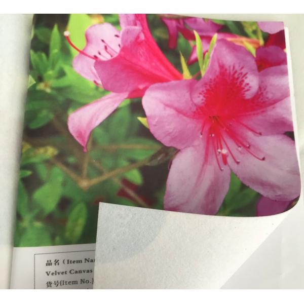 New type canvas fabric with factory price