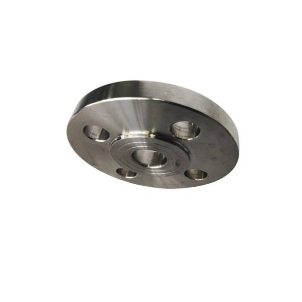 Forged EN1092 ASTM A182 Stainless Steel Plate Flange