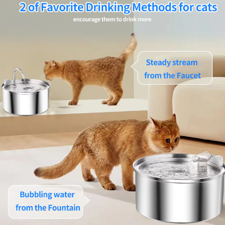 Stainless Steel Pet Drinking Water Fountain Automatic Water Dispenser 3L Capacity