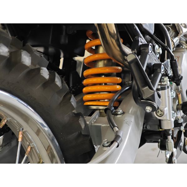 300CC Off Road 4 Stroke Enduro Motorcycle With Fuel Injected Engine 220 Km/H