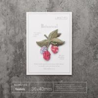 3D texture de baies de fer-sur les patchs juteux framboise cuisine chic adaptée aux enfants décor bordure coupe laser couture-sur le dos