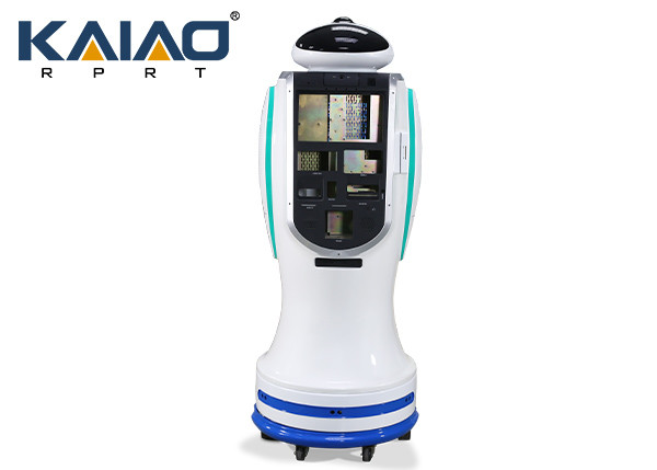 Articulated Robots Rapid Prototyping Services China