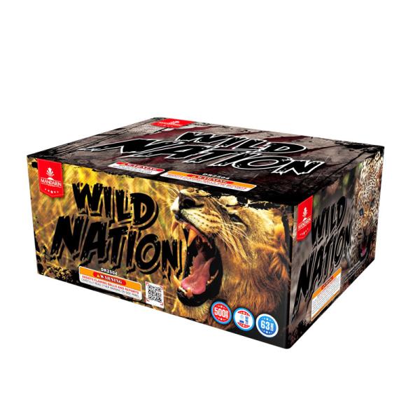 63 Shots New Item Rapid Tails Shooting Cake Fireworks