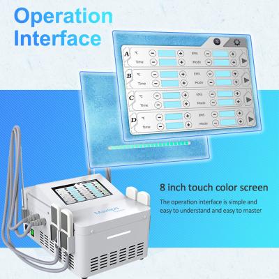 2 In 1 EMS Body Fat Freeze Slimming Machine Cryolipolysis Weight Loss
