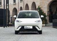 Mode personnalisable Fabricant personnalisé Auto BYD EV Voiture Mouette Voiture