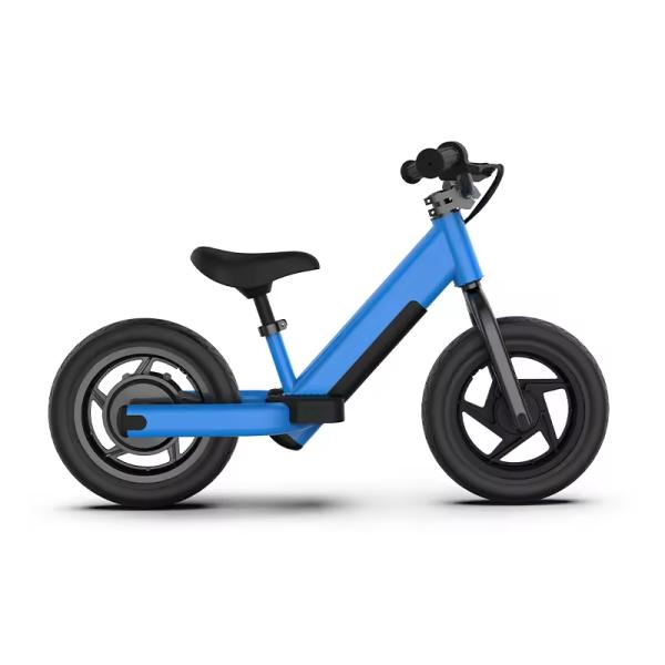 2024 AOTONG MOTOR Electric 2 Wheel Balance Scooter with Disc Brake and 16