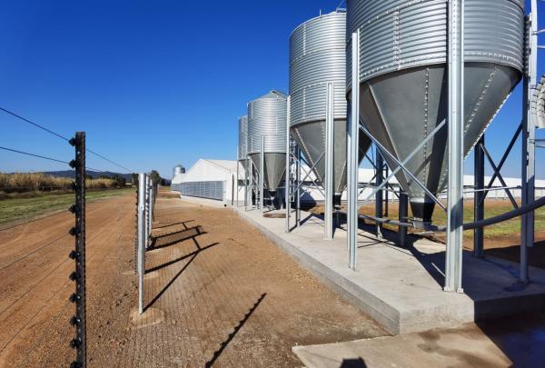 Hot Dip Galvanized Metal Steel Broiler Layer Poultry House With Automatic Brooding Equipment