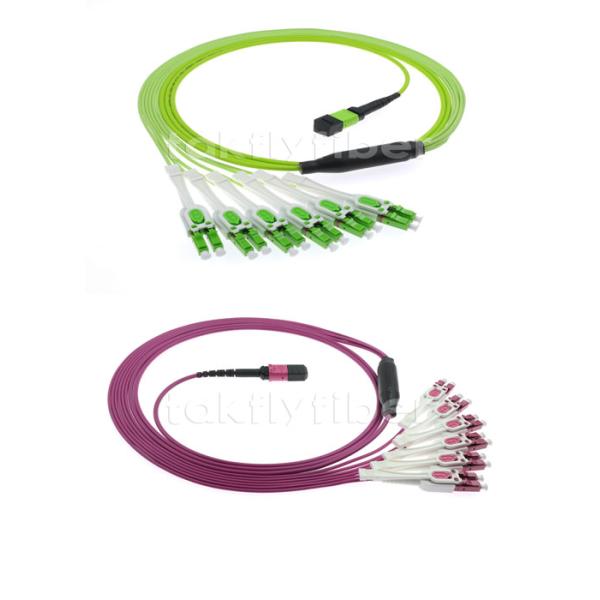 MPO/PC/F-LC/UPC Uniboot Multimode OM5 12F MPO Patch Cord