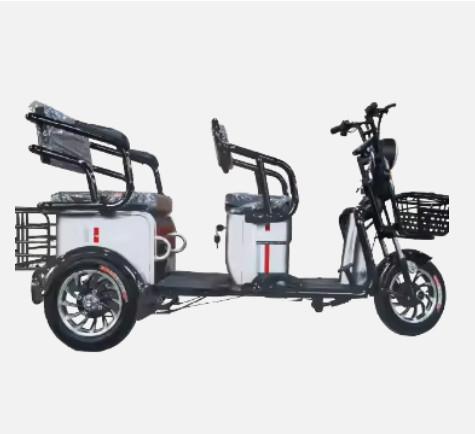 Triciclo elétrico Triciclo adulto Scooter Triciclo elétrico (48/60V 500W)