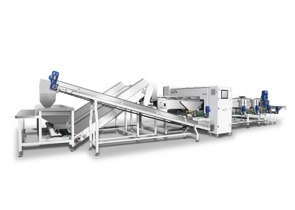 Anysort Intelligent Colour Sorting Machine For Red Date Easy Operation
