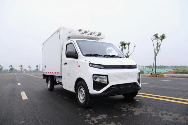 Geely F1E Pure Electric Refrigerated Box Truck Horsepower 150hp Small Freezer Trucks