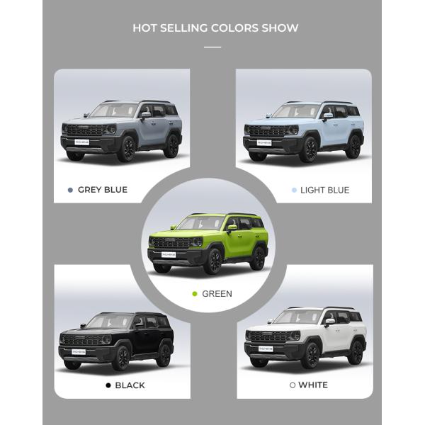 Haval X-Dog Petrol Gasoline Economical SUV Used 175km/H