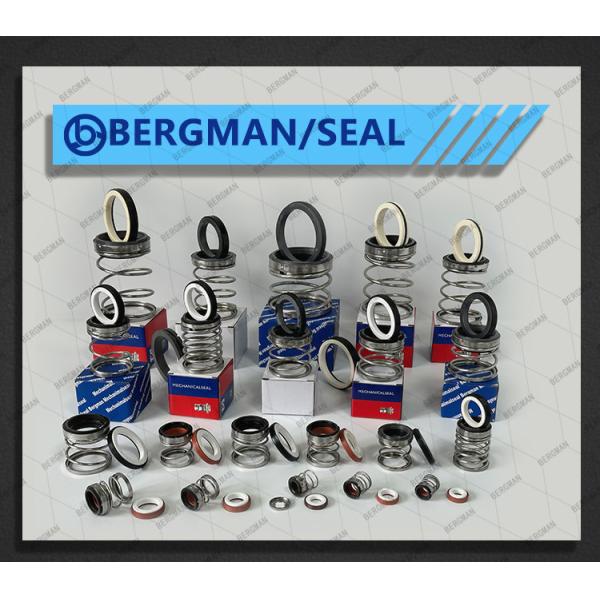 BERGMAN 560B Имперские дюйма Графит Керамический Кремниевый Карбид Вольфрамовый Карбид Насос Механическая Печать