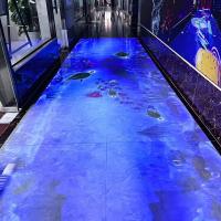 Fábrica de Fonte Multimídia Digital Interativo Jogo de Projeção de Piso Mágico Para Crianças
