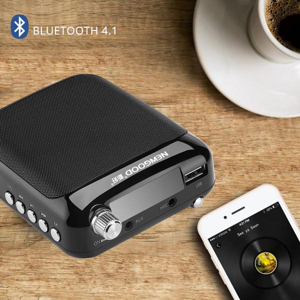 2018 NEWGOOD Bluetooth UHF Wireless Headset Microphone Voice Amplifier Loudspeaker for Classroom,School,Yoga,Coach