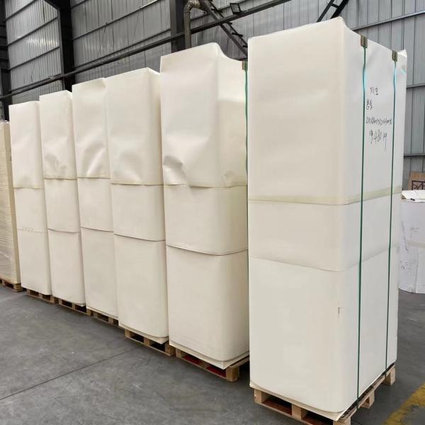 Высокое оптовое белое PE листа 135gsm бумажного стаканчика Kraft покрыло водоустойчивое