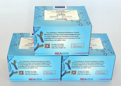Metronidazole ELISA Test Kit High Recovery (70% - 95%) Used For Serum / Milk