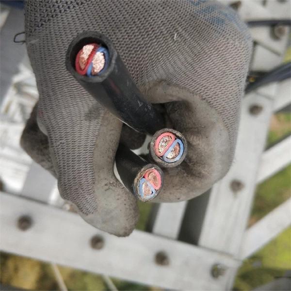 600V UL2586 RRU DC power cable D type 2x12AWG / 2x10AWG / 2x6mm2 RRU DC power cable for Huawei ZTE base stations 600V 2586 RRU Power Cable D Type 2x10AWG / 2x6mm² Shield For Outdoor