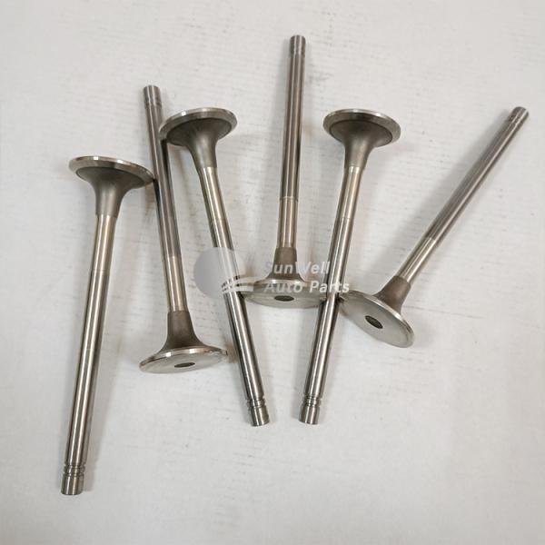 High Quality Excavator Auto Parts Engine Parts NT855 Exhaust Valve 3040830 3803519 3029333