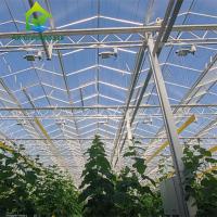 Armação de aço galvanizada quente estufa de vidro comercial de Multispan da grande Venlo