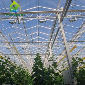 Commercial Multi-Span Venlo Glass Greenhouse with Hot Galvanized Steel Frame and Triangle Roof Molding