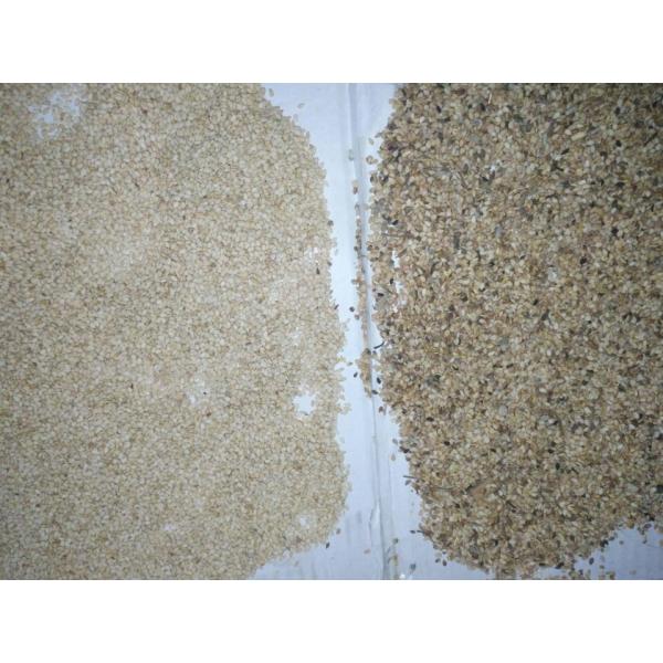 Машина цвета риса черноты поставщика фабрики Китая хорошая качественная сортируя для сельскохозяйственных угодиь