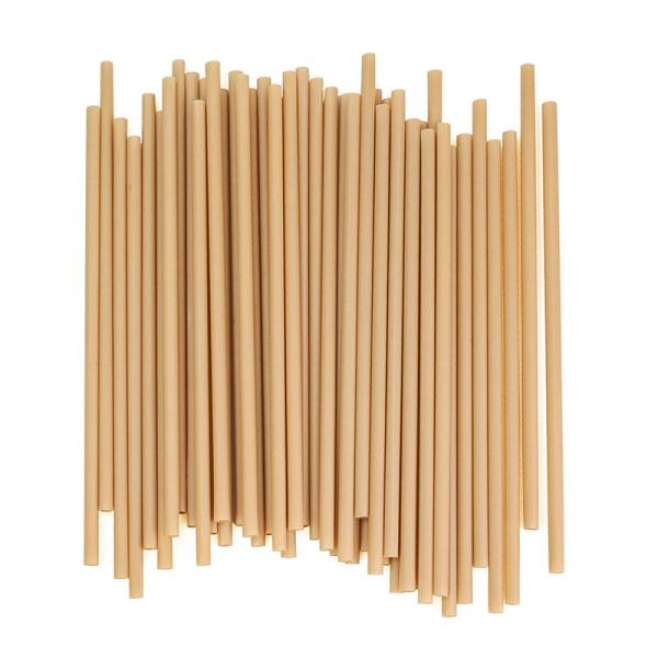 Venda à Venda A Grande Distribuição Biodegradáveis descartáveis Bagasse canudos para festas