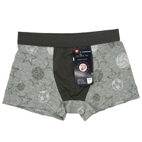 New Style Hot Selling High Quality Boys Boxer Underpants Comfortable Fashion Boxer Briefs at Wholesale Price