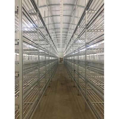 Customized Agricultural Equipment Plastic Film Cover Mushroom Green House