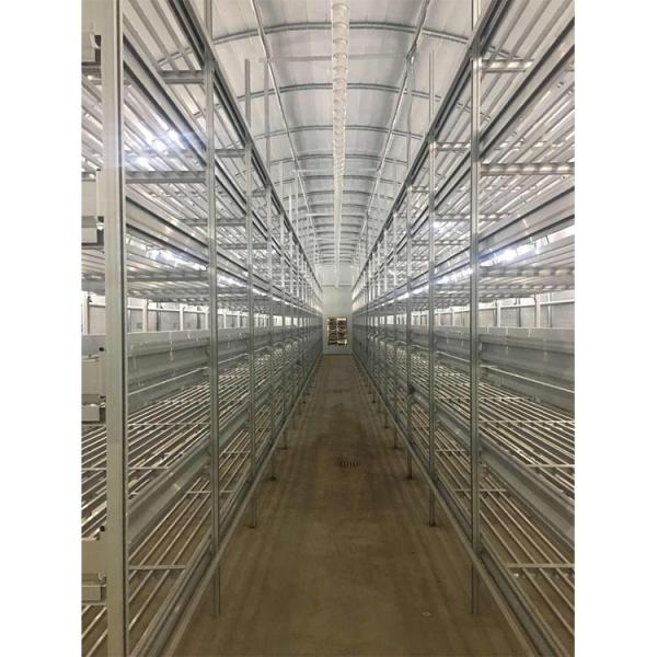 Customized Agricultural Equipment Plastic Film Cover Mushroom Green House