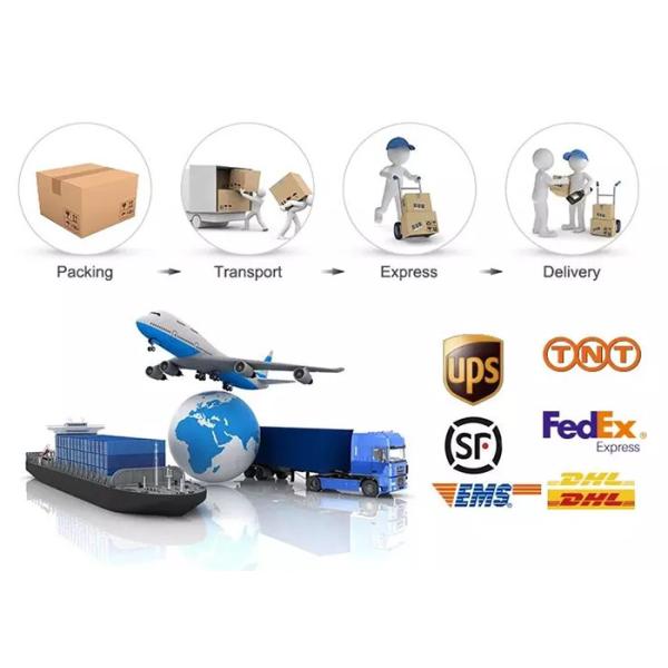 Подгонянная почта проложенная логотипом кладет упаковку в мешки доставки Eco дружелюбную