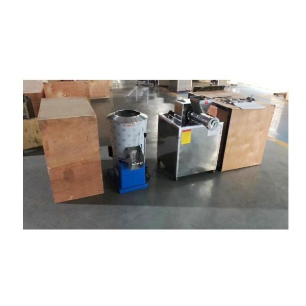 Professional 15Kg 25Kg 50Kg Vacuum Dough Mixer Flour Mixing Machine For Dumpling Pizza Bread Pastry Processing