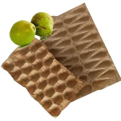 Customized Kraft Paper Moulded Pulp Trays Disposable Fruit Packaging Tray for Apple and Avocado