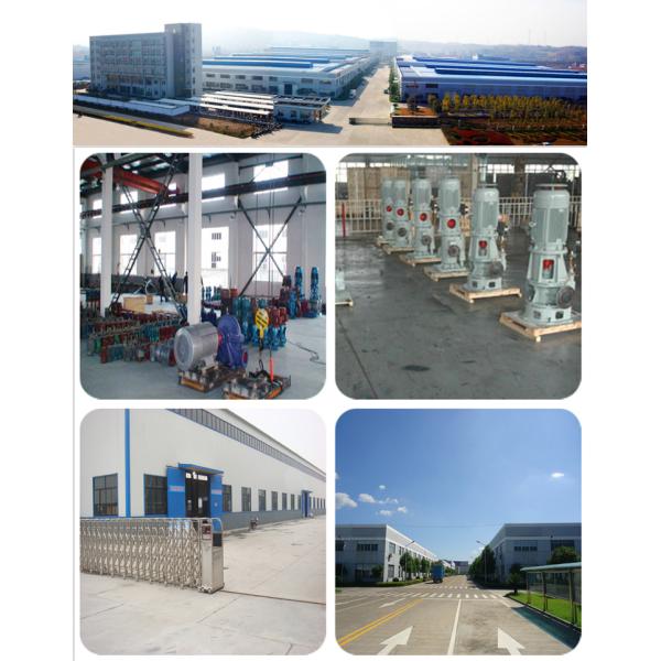 Vertical Marine Water Pump Double - Suction Centrifugal Mini High Lift