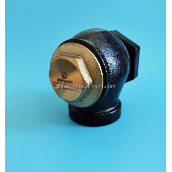 Custom Gasoline Fuel Dispenser Spare Parts Non Return Check Valve