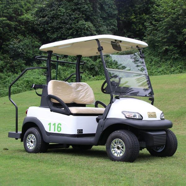 2 Passengers Electric Golf Buggy With 30% Climbing Capacity And 35KM/H Speed