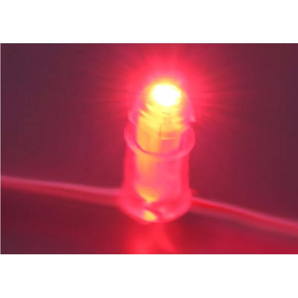 Rustproof IP67 12V 9mm RGB Pixel Light Strings