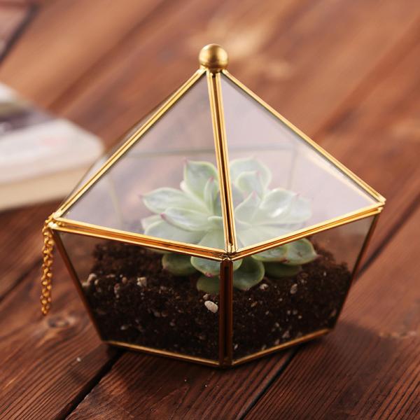 Pentagon Shaped Jewelry Glass Display Case Air Plant Terrarium Planter