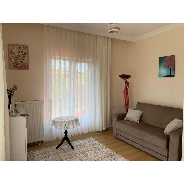 Анти- землетрясение толщина 1,0 дома Префаб света 8 градусов стальная для обрамлять стержня