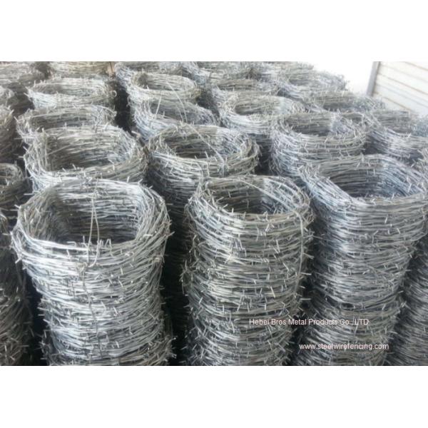 Hot Dipped Galvanized Barbed Wire Mesh Roll / Barbed Wire Mesh Fence Design