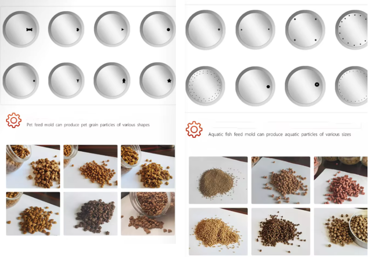 Fish Feed Production Line | Floating Fish Feed Pellet Making Machine | Small Sinking Shrimp Feed Extruder Machine