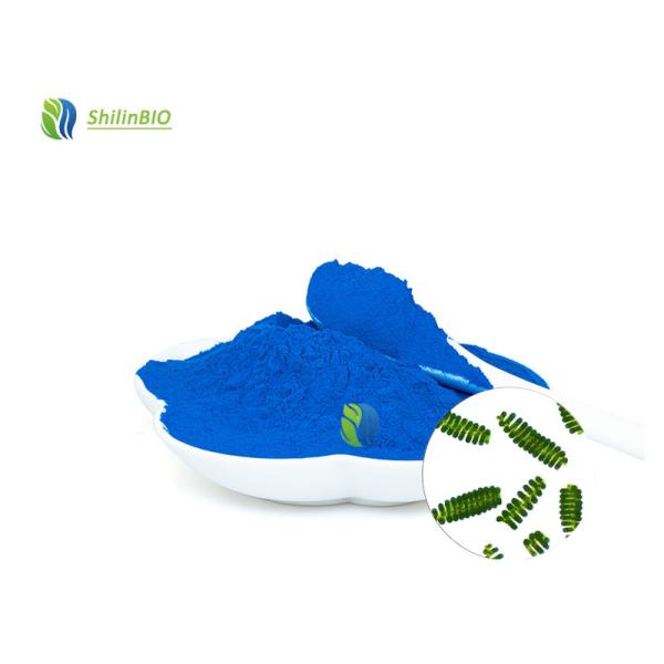 Poudre de phycocyanine