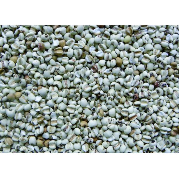 Recyclable 10 Channels Coix Rice Color Sorter With Full Color CCD RGB Camera