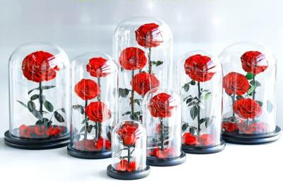 Wholesale New Design Preserved flower  Eternal Rose in Glass Home Decoration
