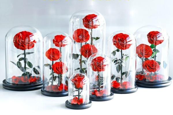 Wholesale New Design Preserved flower  Eternal Rose in Glass Home Decoration