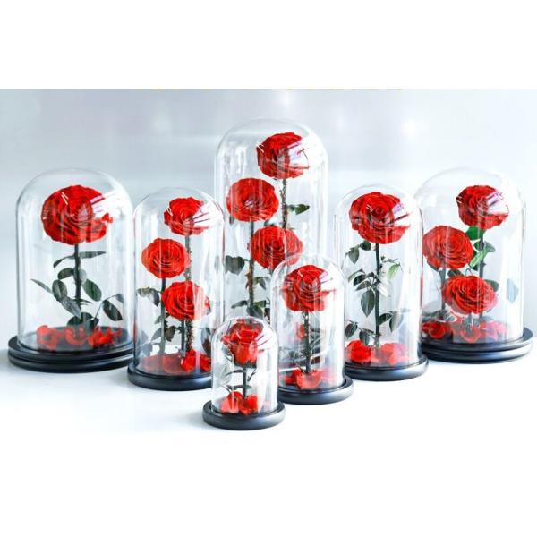 Hot Selling Preserved Rose with Glass Dome Mini Artificial Flowers Preserved Flowers for Valentines day Gifts