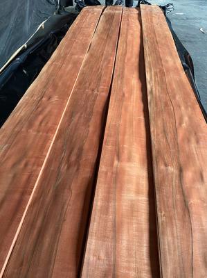 8% Moisture Plain Sliced Veneer Interior Decoration 250cm Apple Veneer