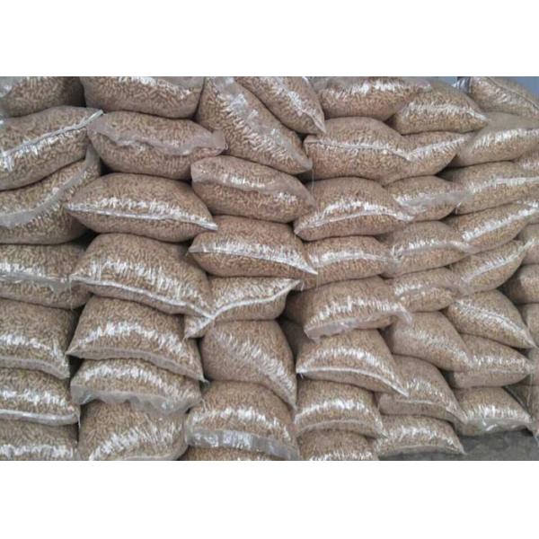 Delicious Blanched Peanuts / Red Skin Peanuts Fast Fresh Food For Eating / Oil Processing